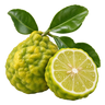 BERGAMOT